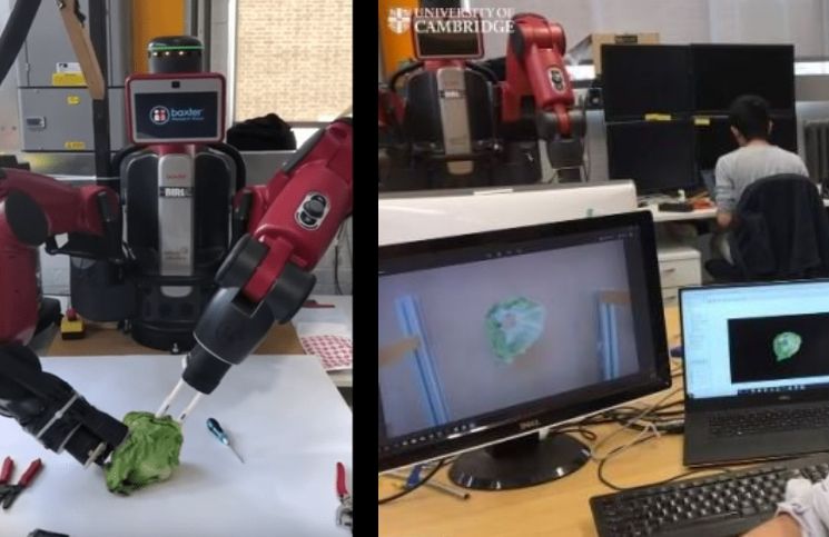 Tarım Otomasyonunda Önemli Bir Adım: Marul Soyan Robot Geliştirildi